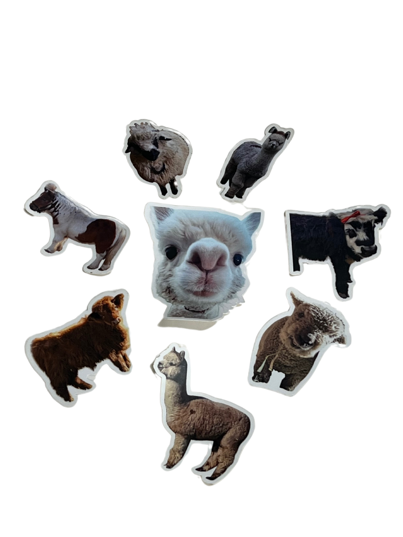 Vinyl Animal Stickers
