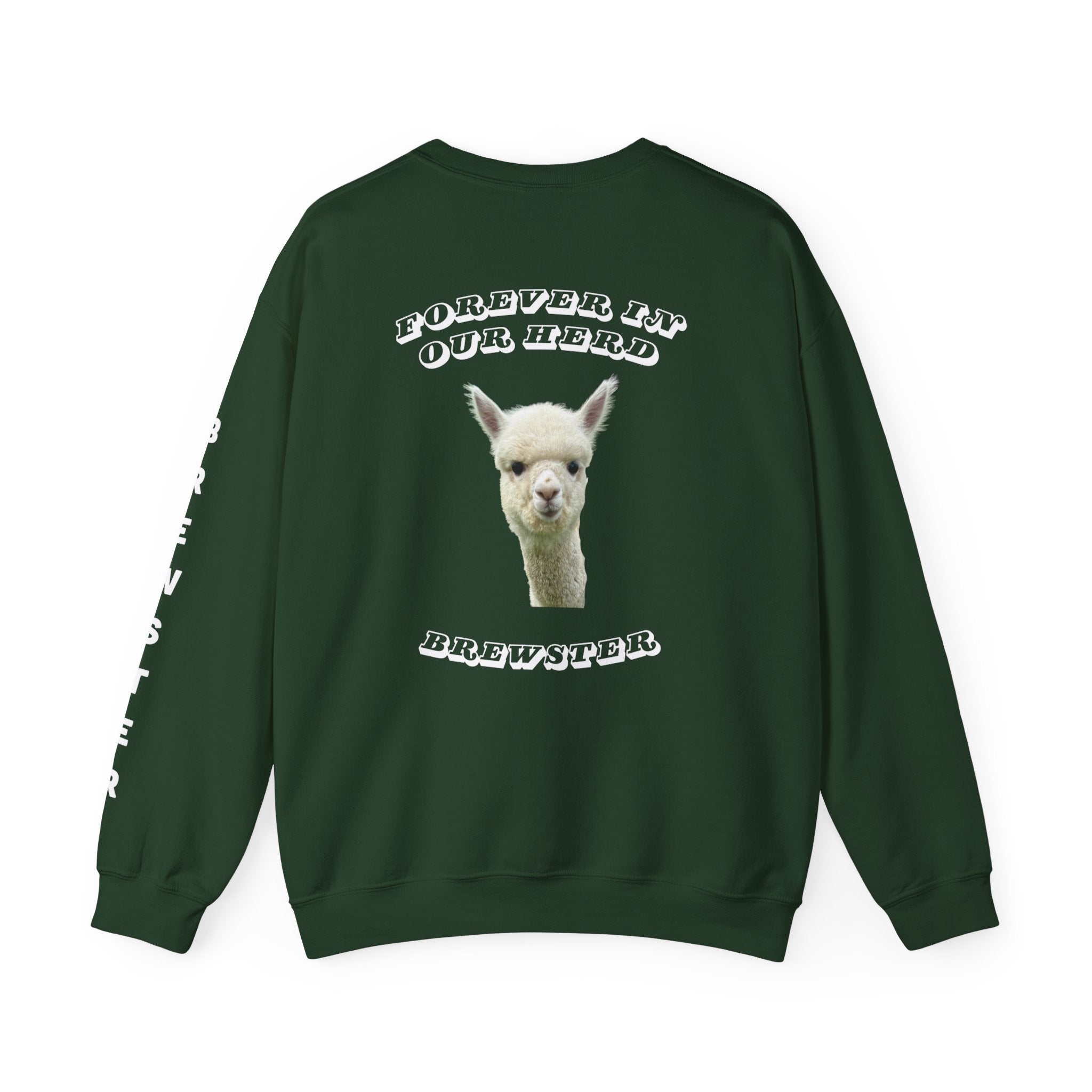 Brewster Memory Forest Green Crewneck Sweatshirt