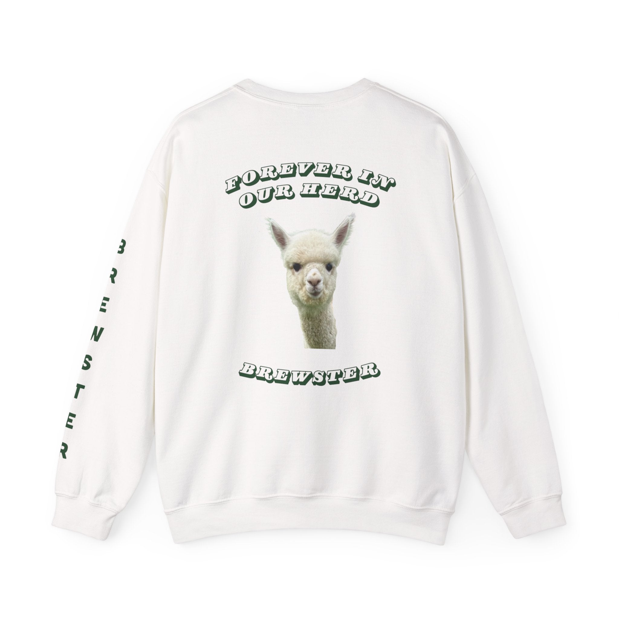 Brewster Memory White Crewneck