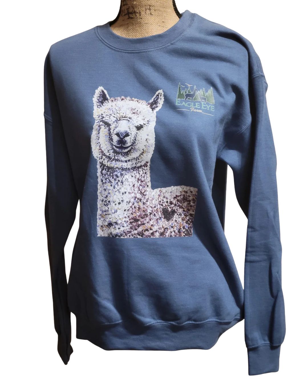 Chi Chi crewneck
