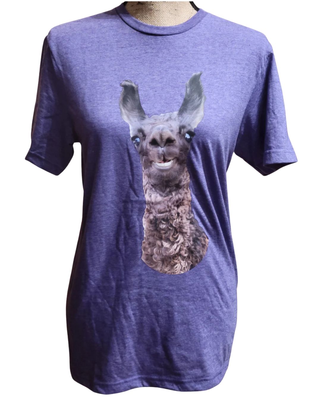 Llorenzo t-shirt
