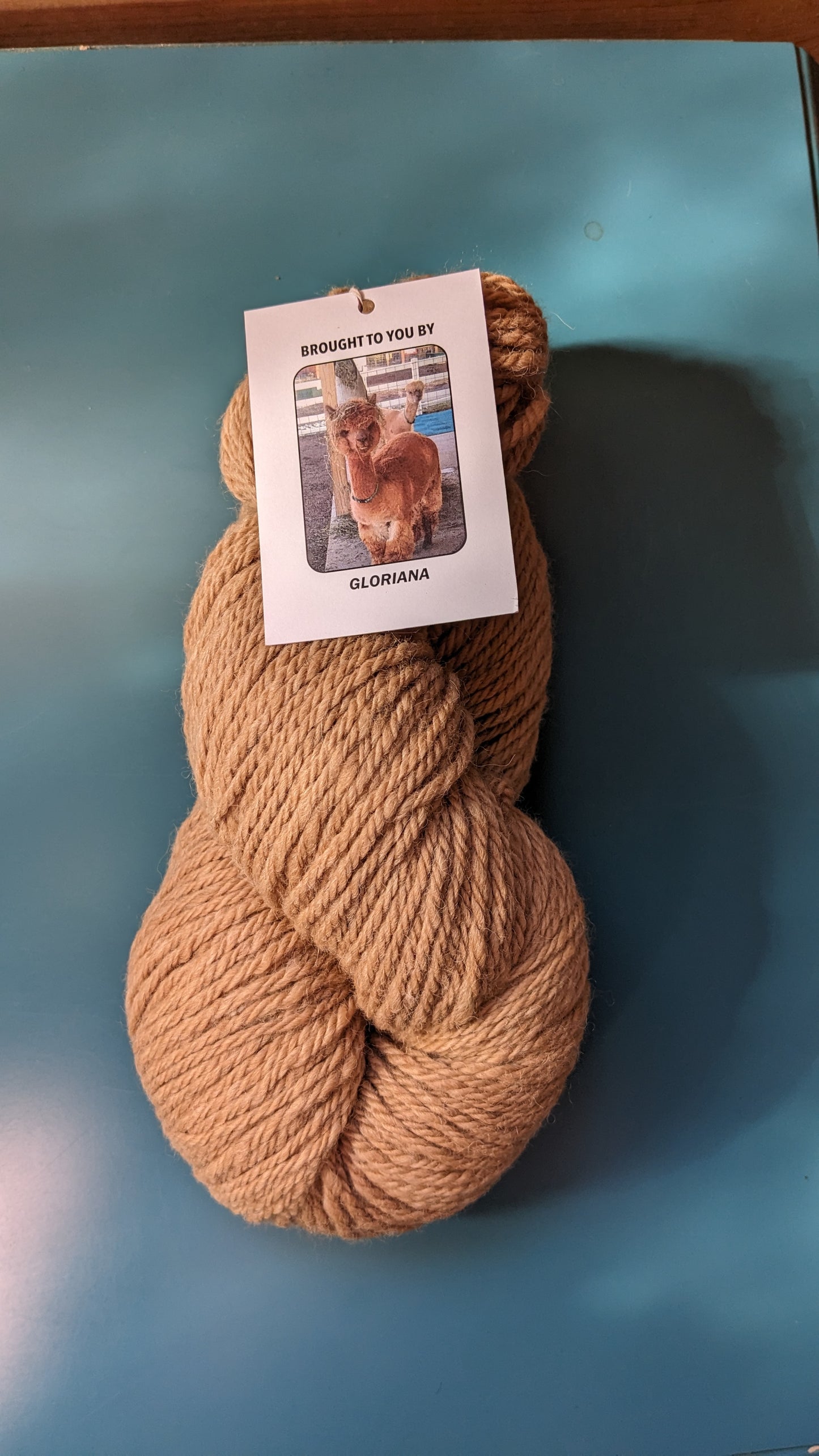 Gloriana yarn