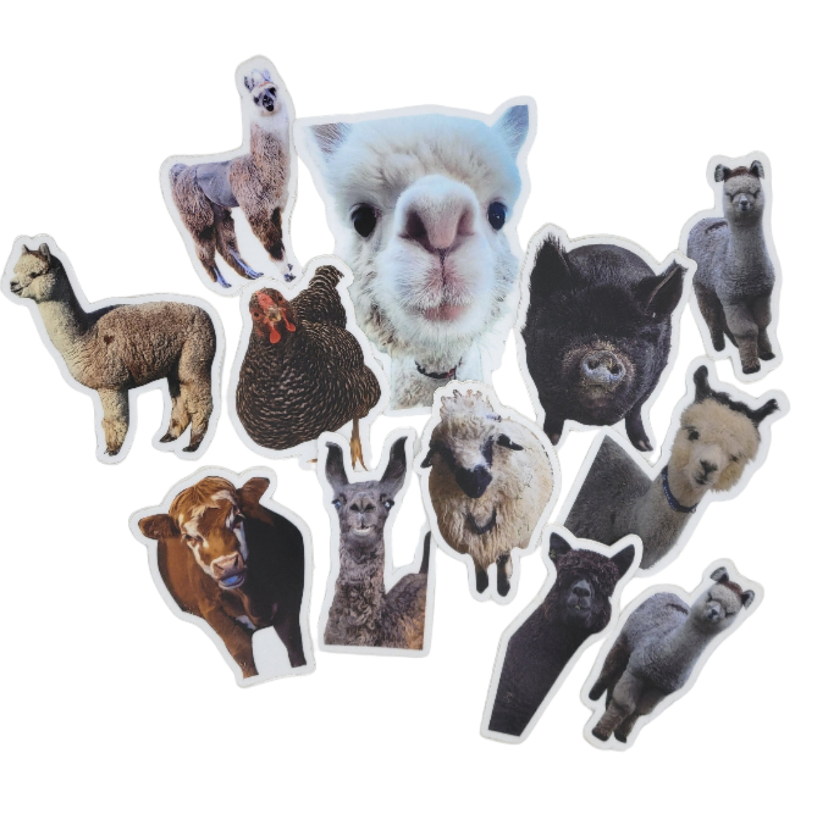 Animal Sticker Pack