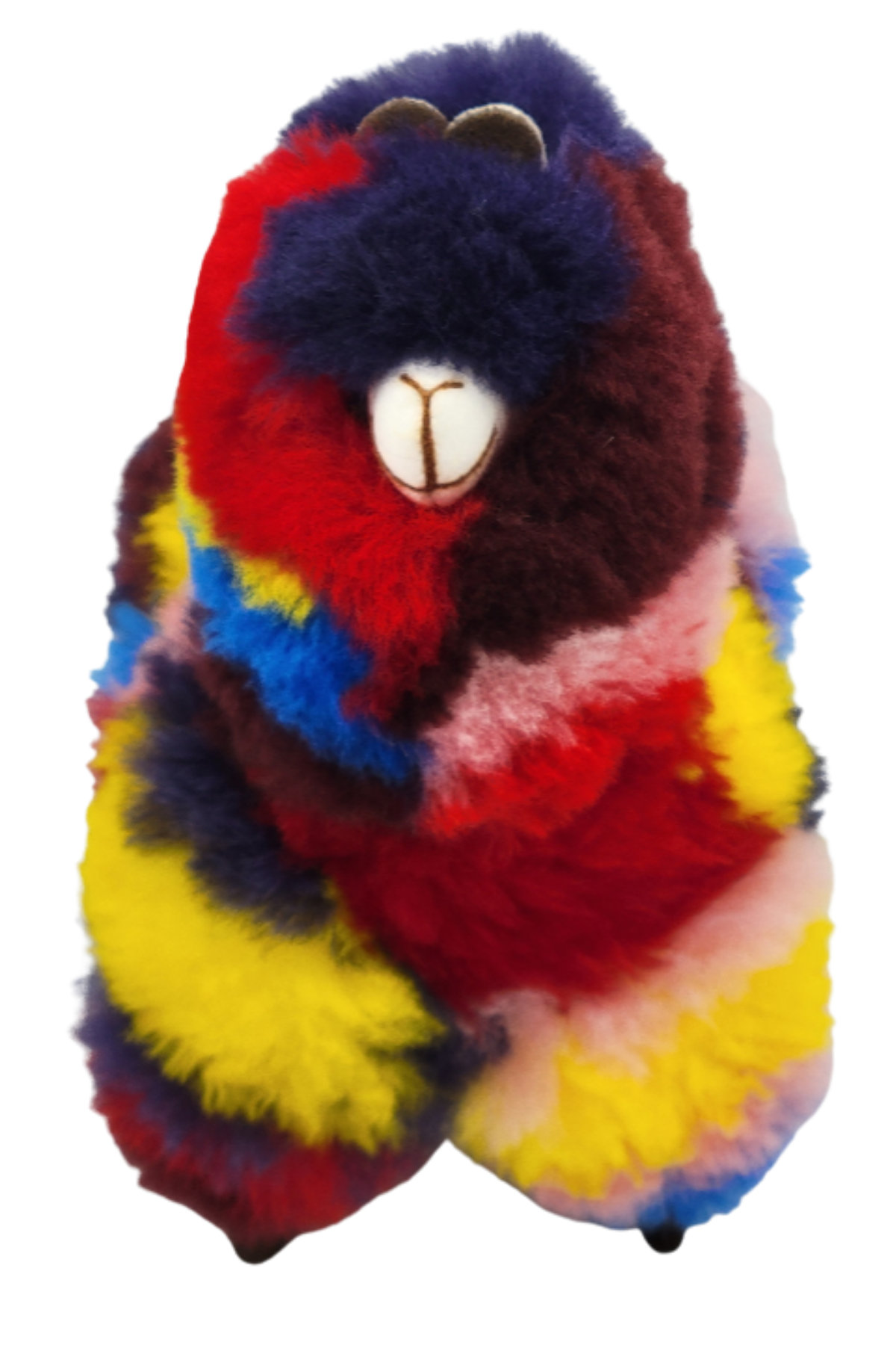 Rainbow Brushed Alpacas
