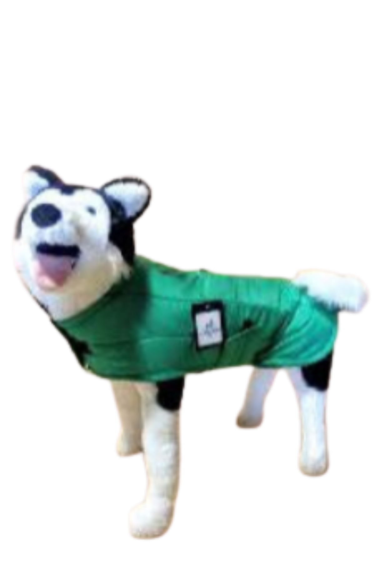 Dog coat - lined with alpaca