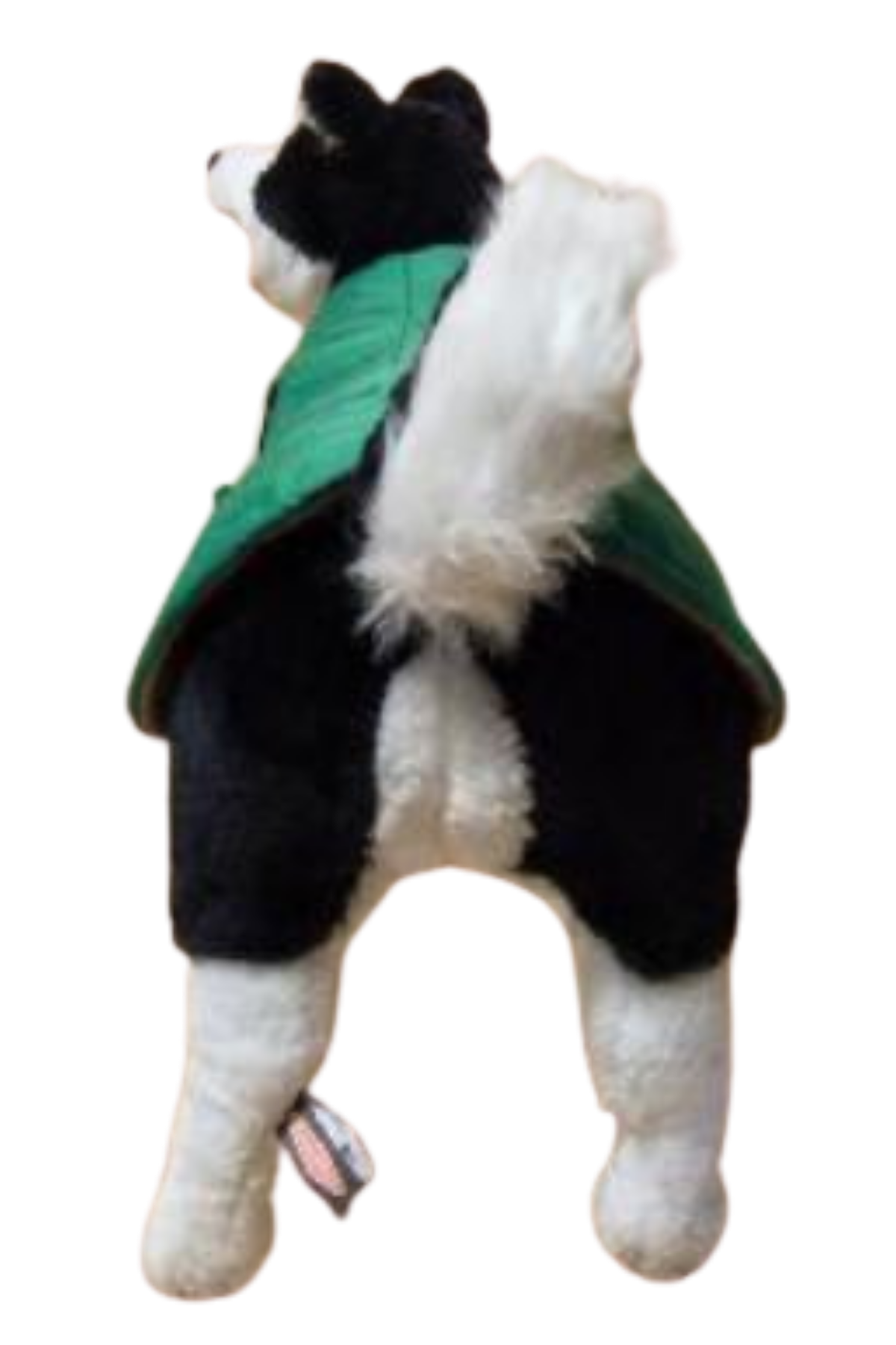 Dog coat - lined with alpaca