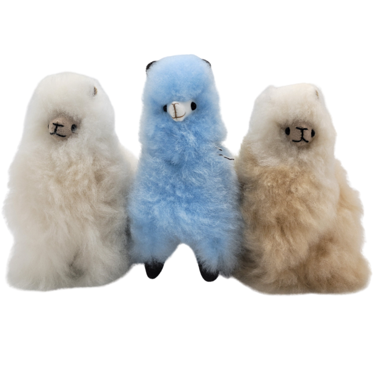 Bella Alpaca