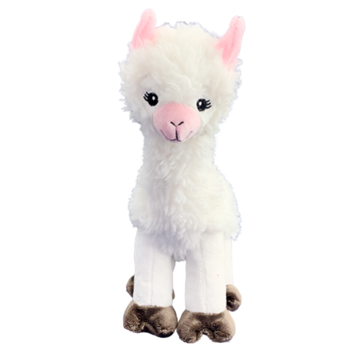 Brewster Memorial Bundle (White T-Shirt)