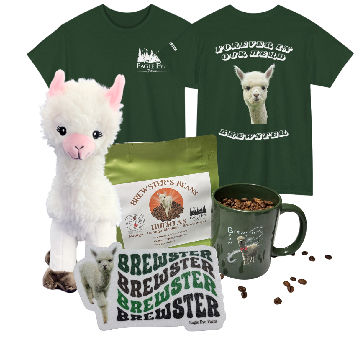 Brewster Memorial Bundle (Green T-shirt)