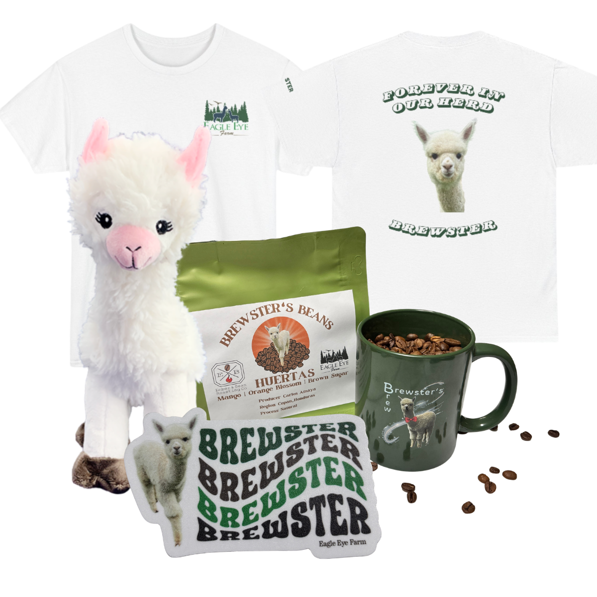 Brewster Memorial Bundle (White T-Shirt)