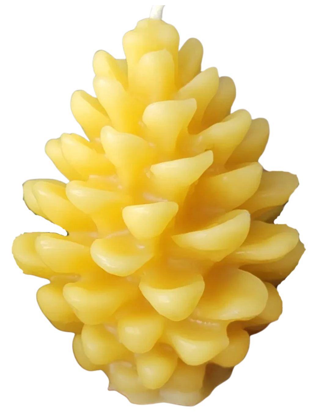 100% Beeswax Candles - Winter