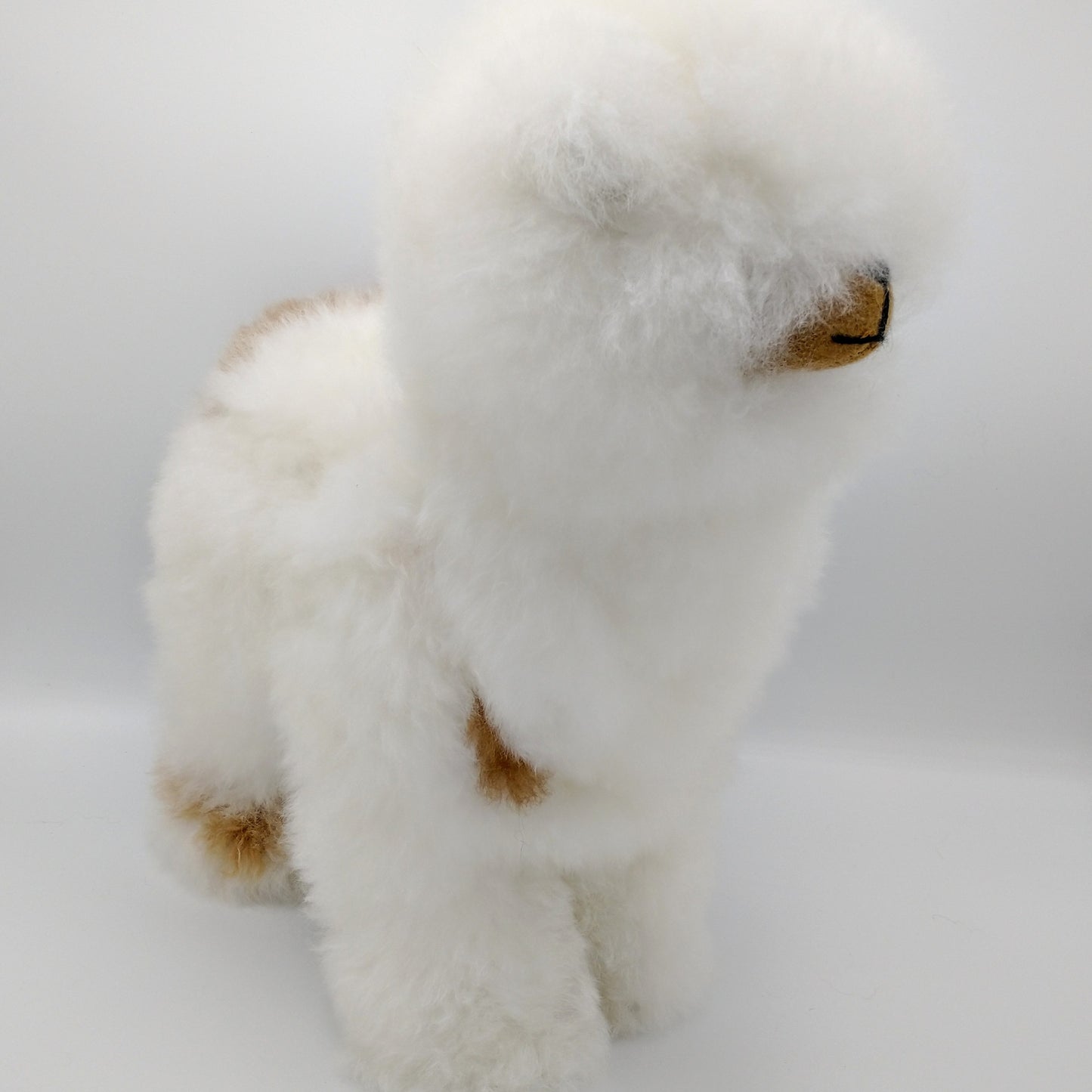 Plush Herdsire Alpaca 14″ - Spotted white