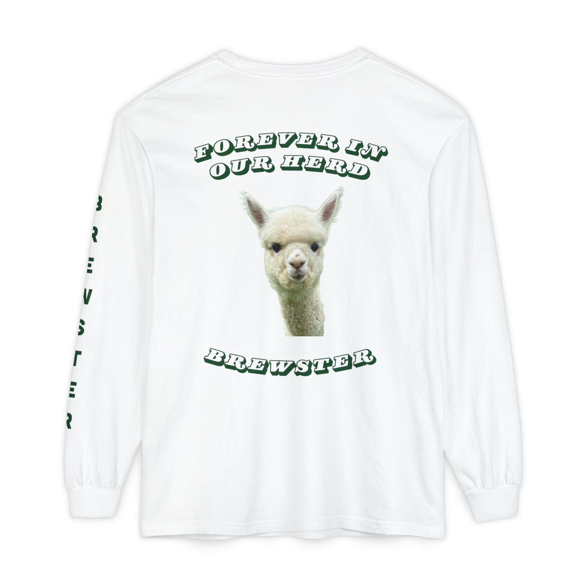 Brewster Memory Lightweight White Long Sleeve T-Shirt