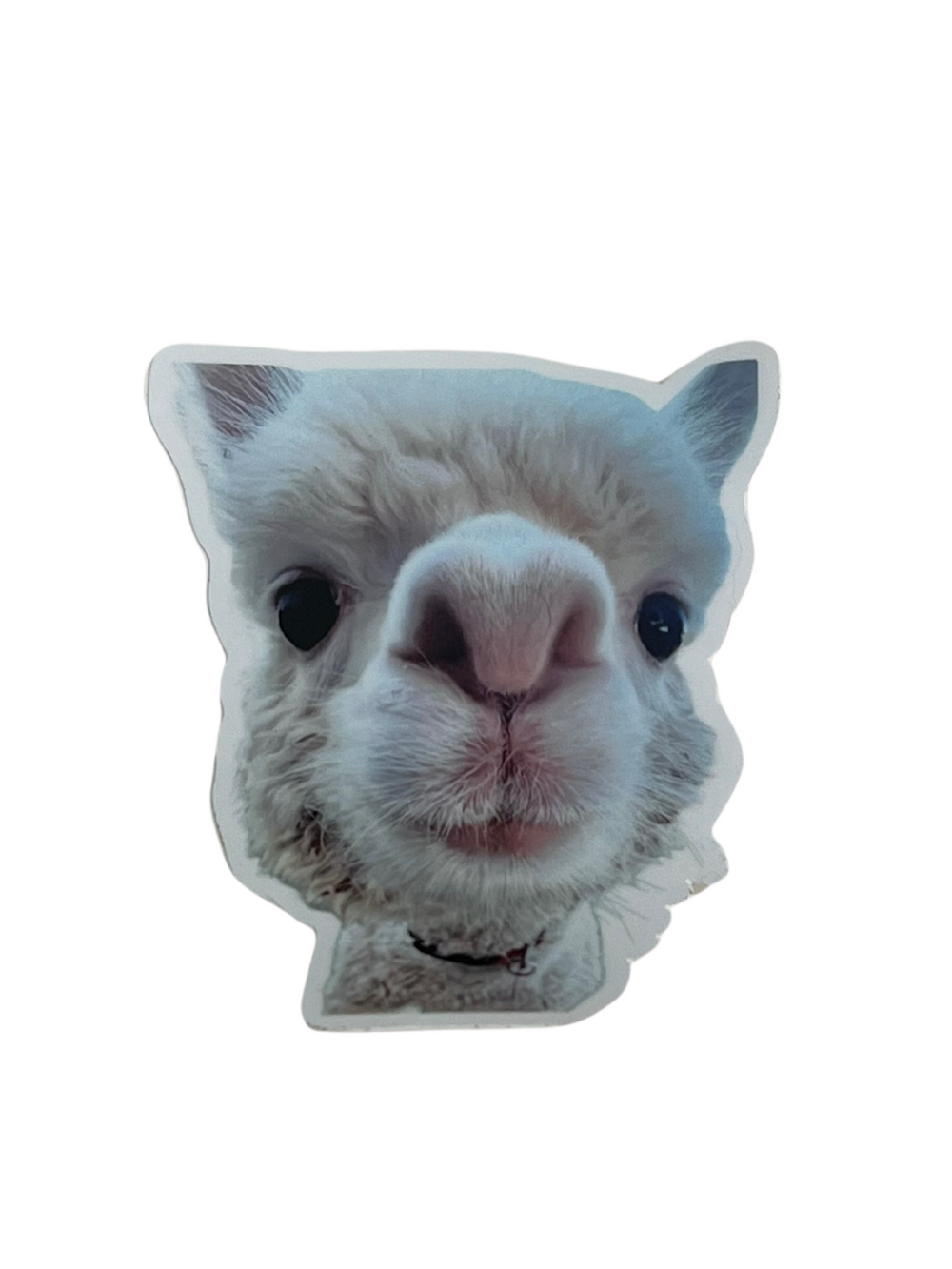 Vinyl Animal Stickers