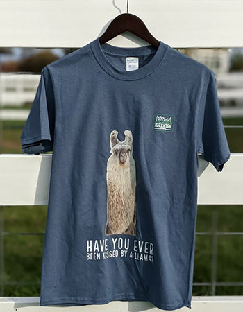 collection-list-slider-image--template--26116475453762__collection_list_slider_eGFBtV--1