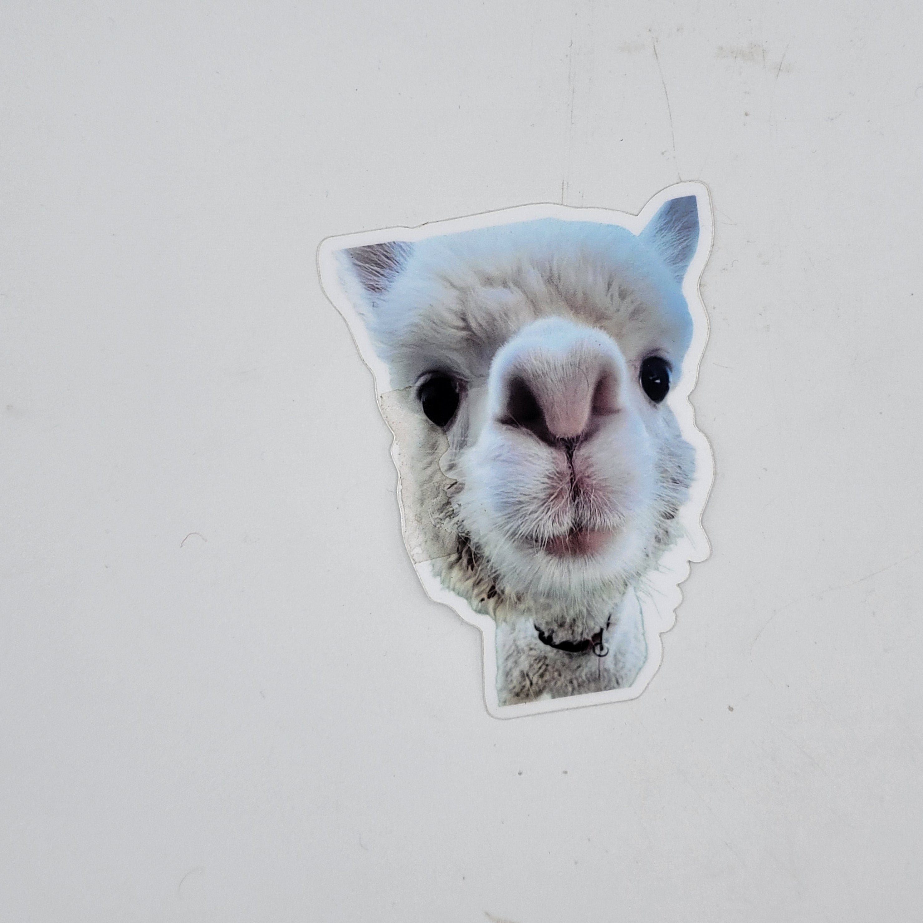 Vinyl Animal Stickers