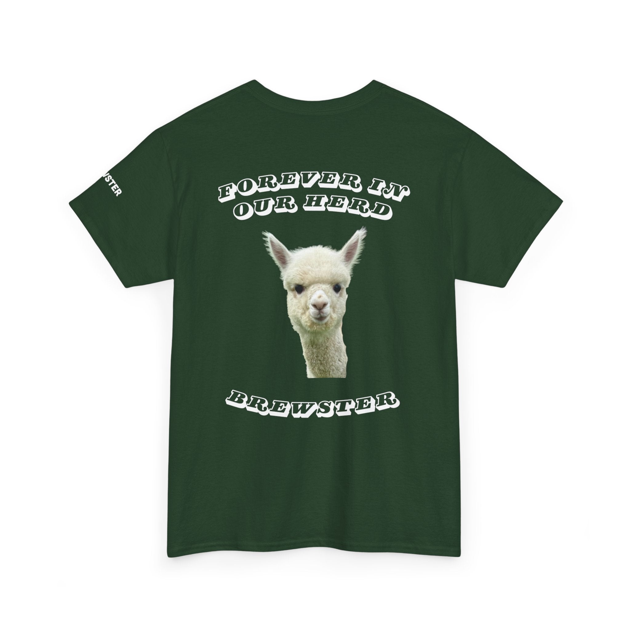 Brewster Memory Green Cotton Tee