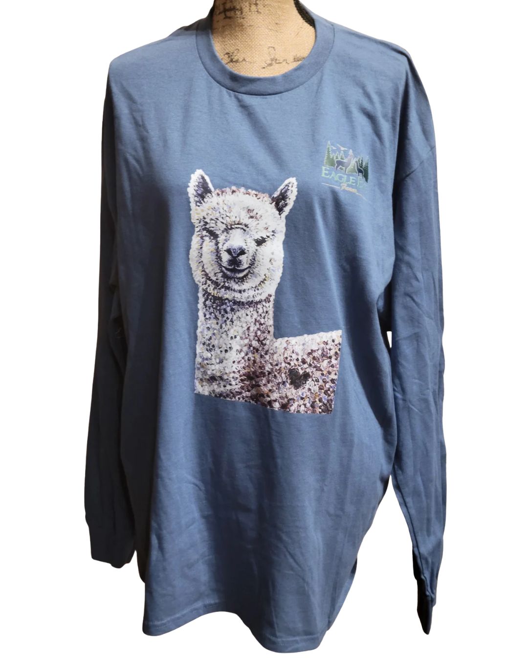 Chi Chi Long Sleeve Shirt