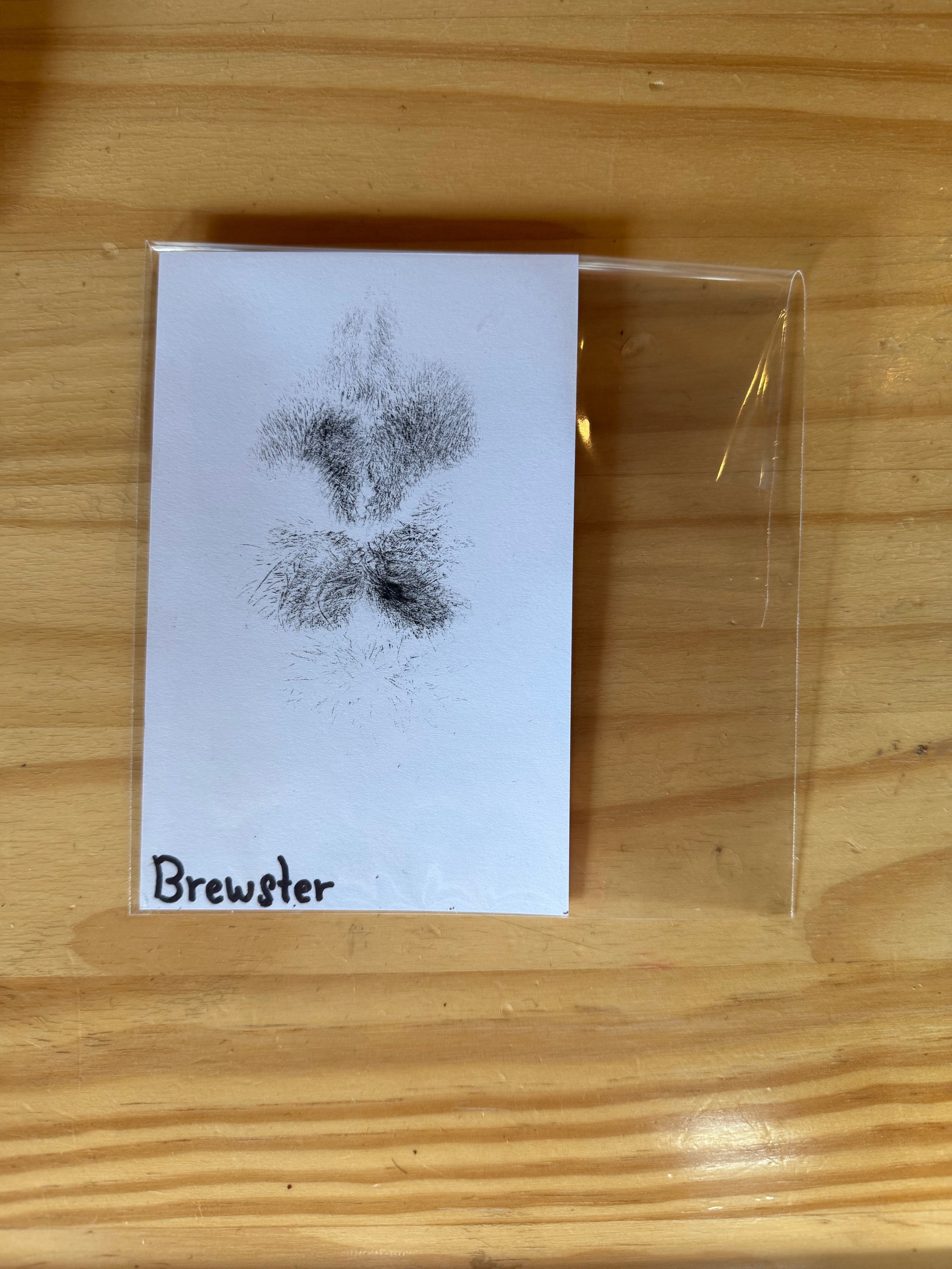 Brewster Nose Print