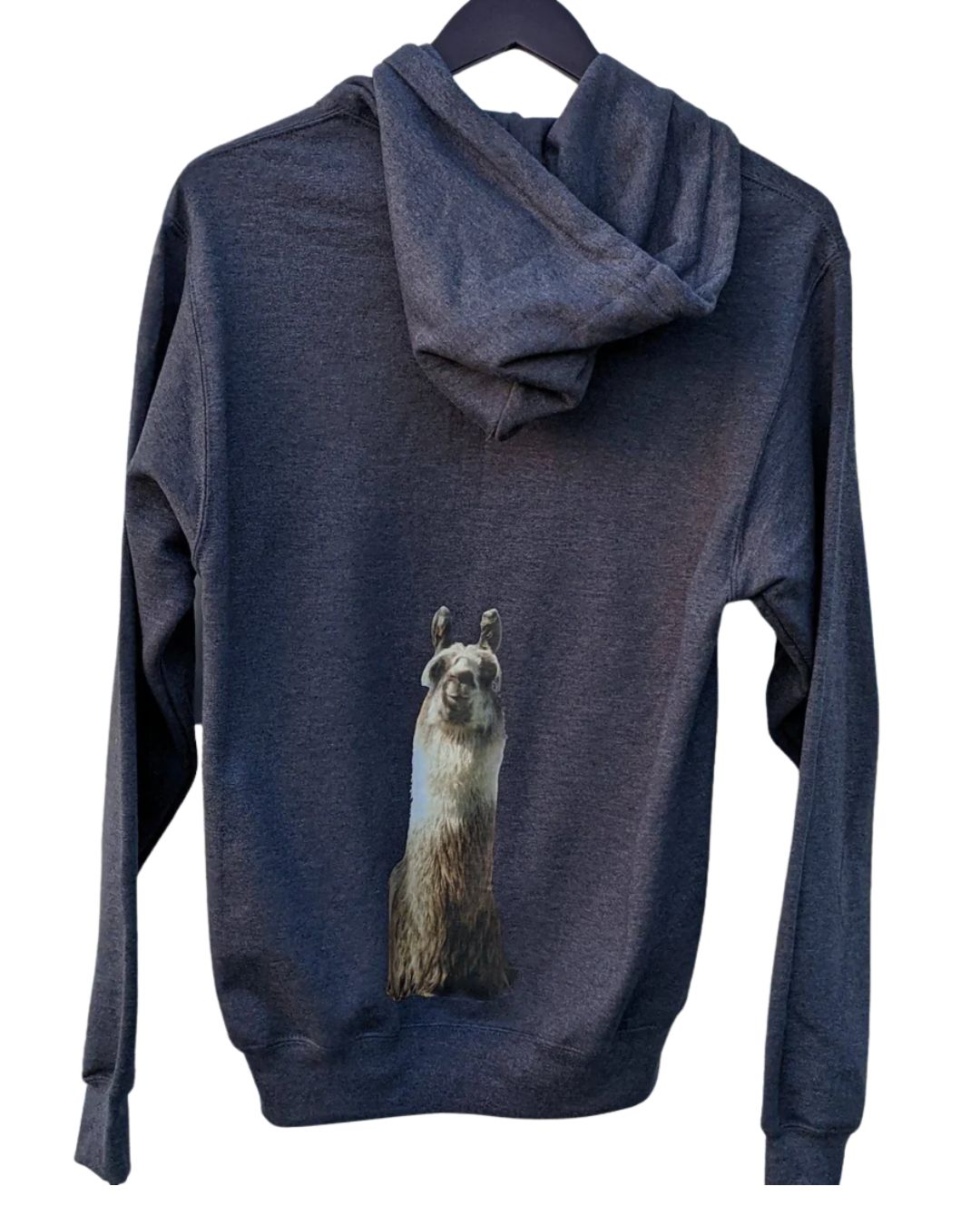 Llainey Full-Zip Hoodie