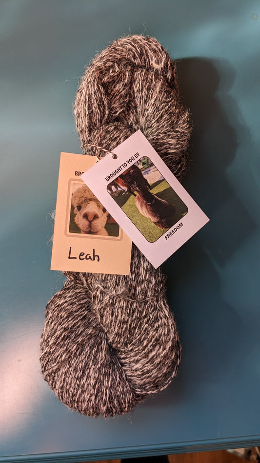 Leah and Freedom yarn