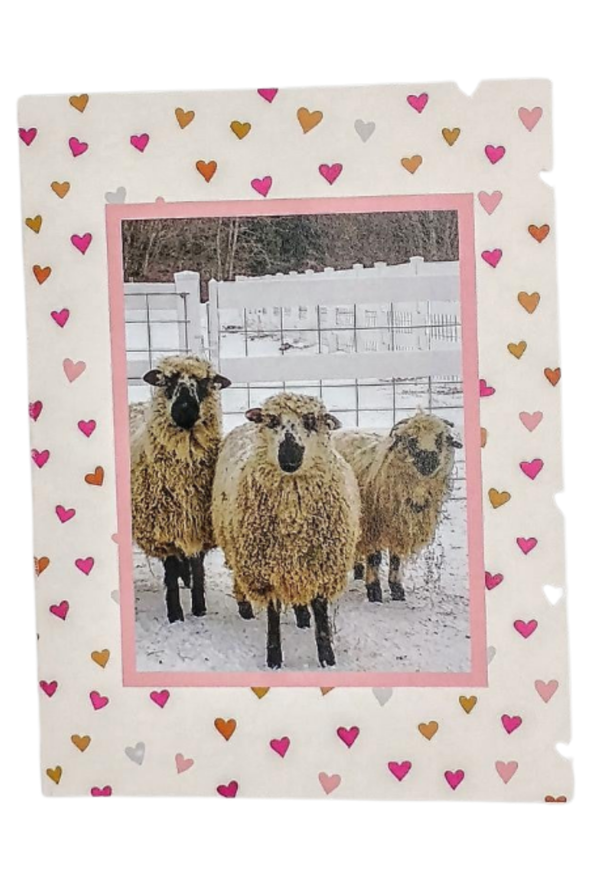 I Love Ewe greeting card