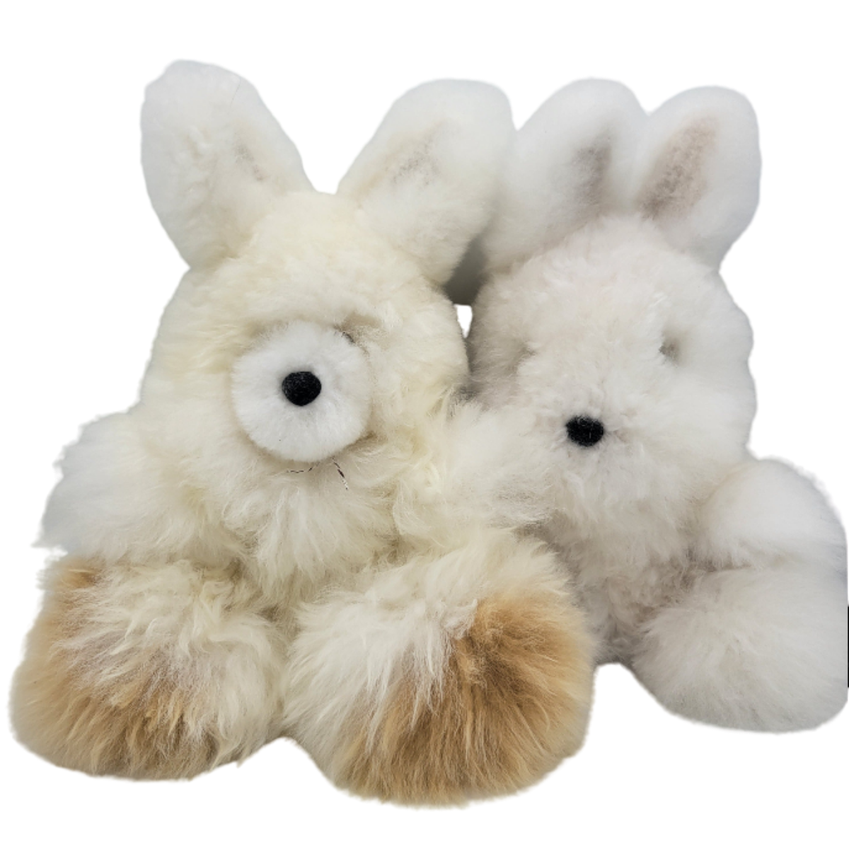 Big Fluffy Bunny