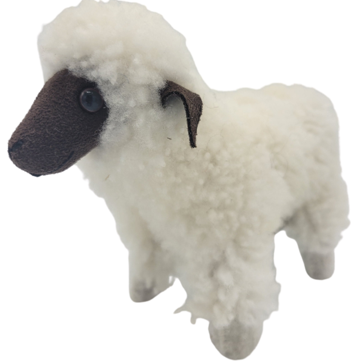 Heritage Sheep
