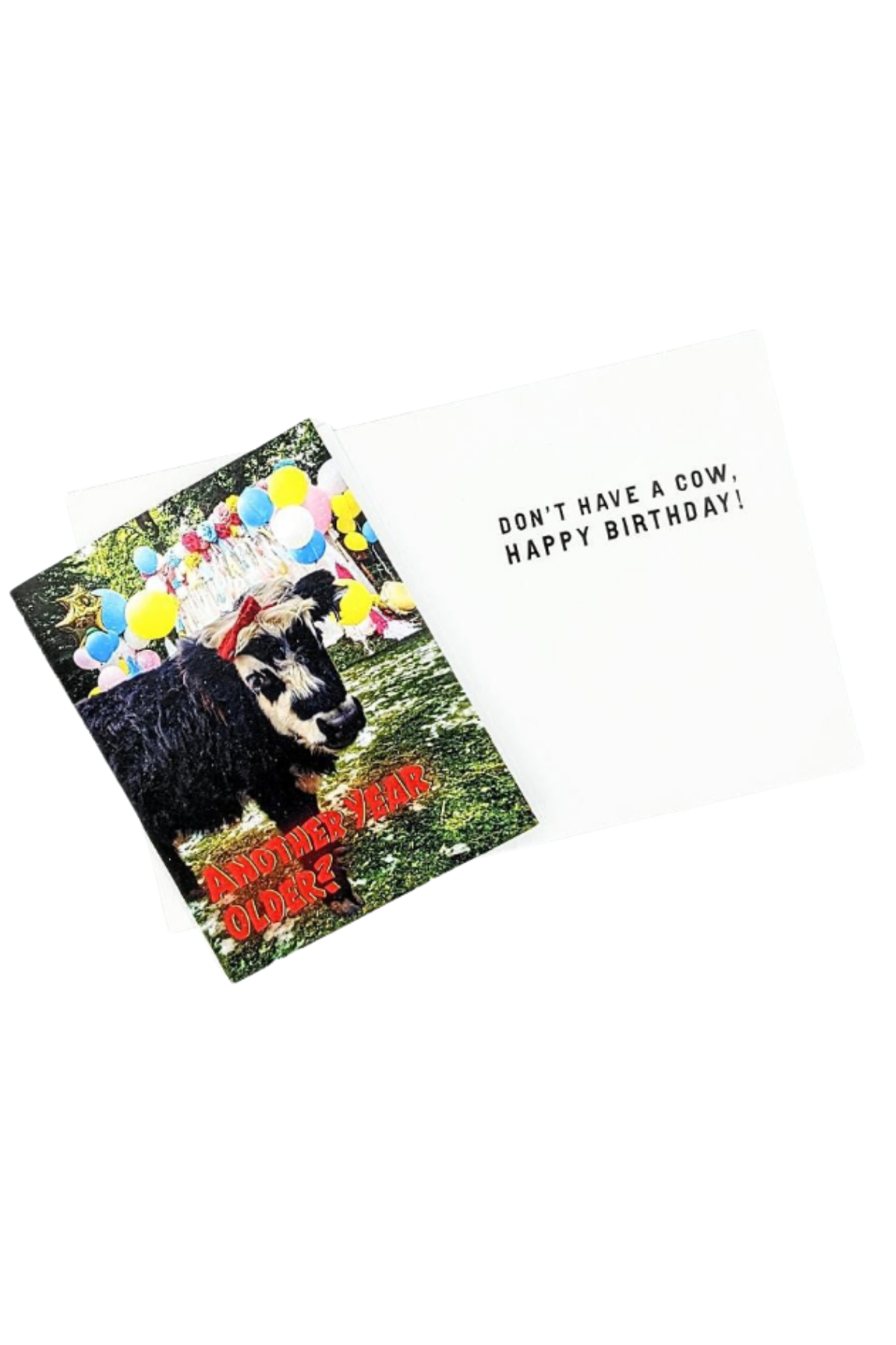 Eagle Eye Farm Greetings Cards