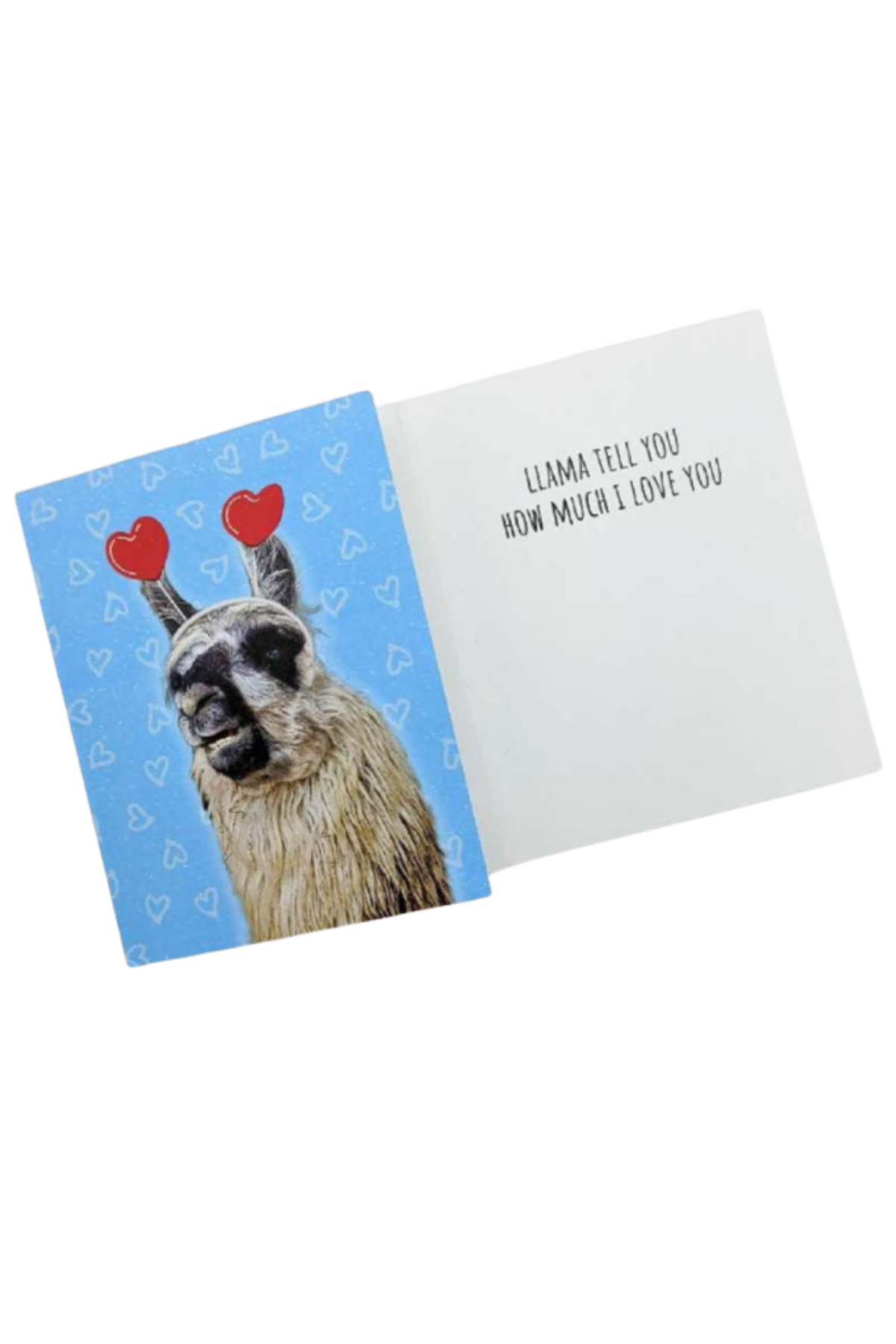 Eagle Eye Farm Greetings Cards