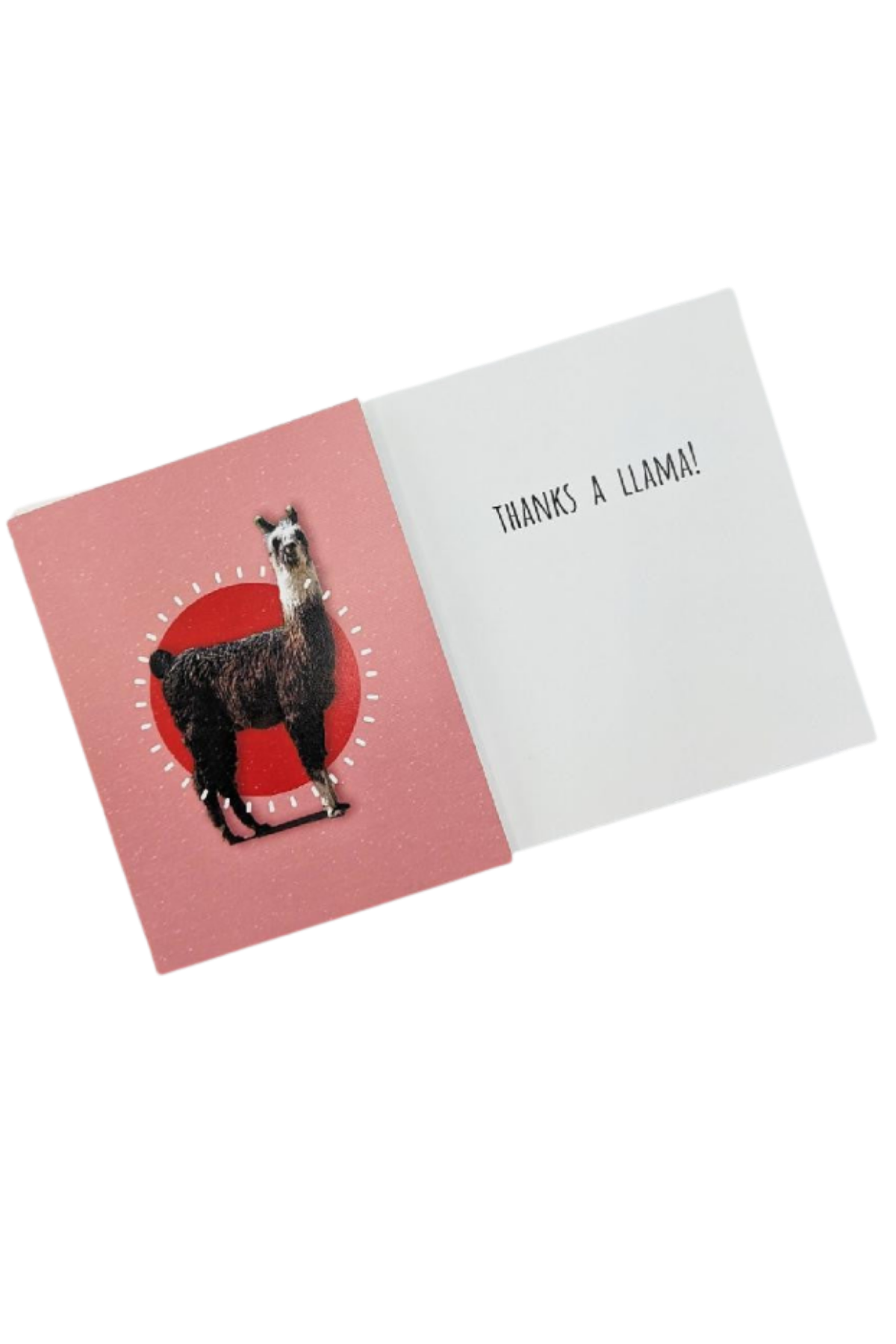 Eagle Eye Farm Greetings Cards