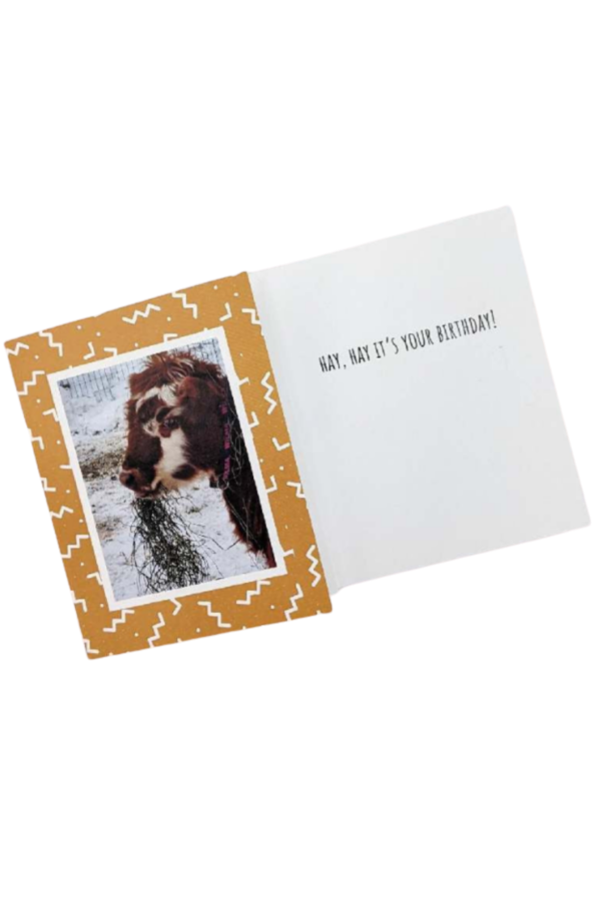 Eagle Eye Farm Greetings Cards