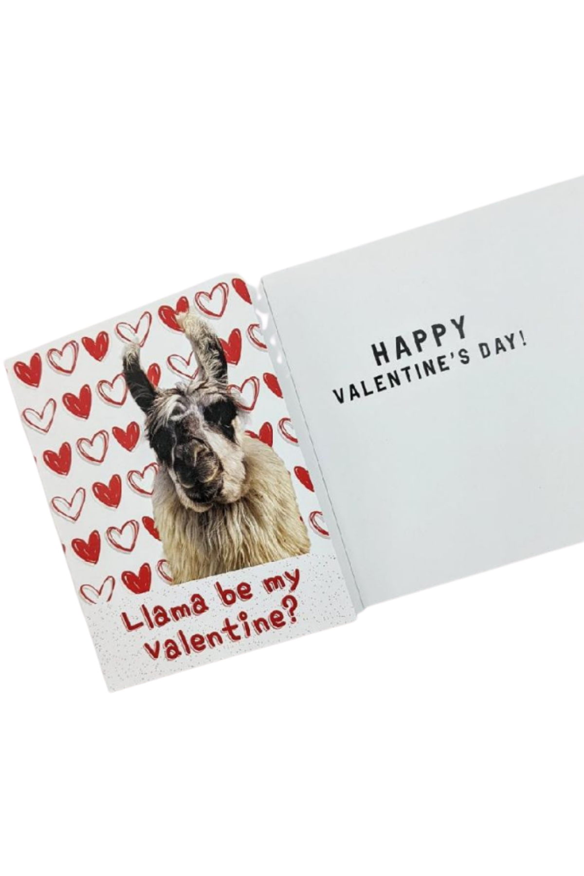 Eagle Eye Farm Greetings Cards
