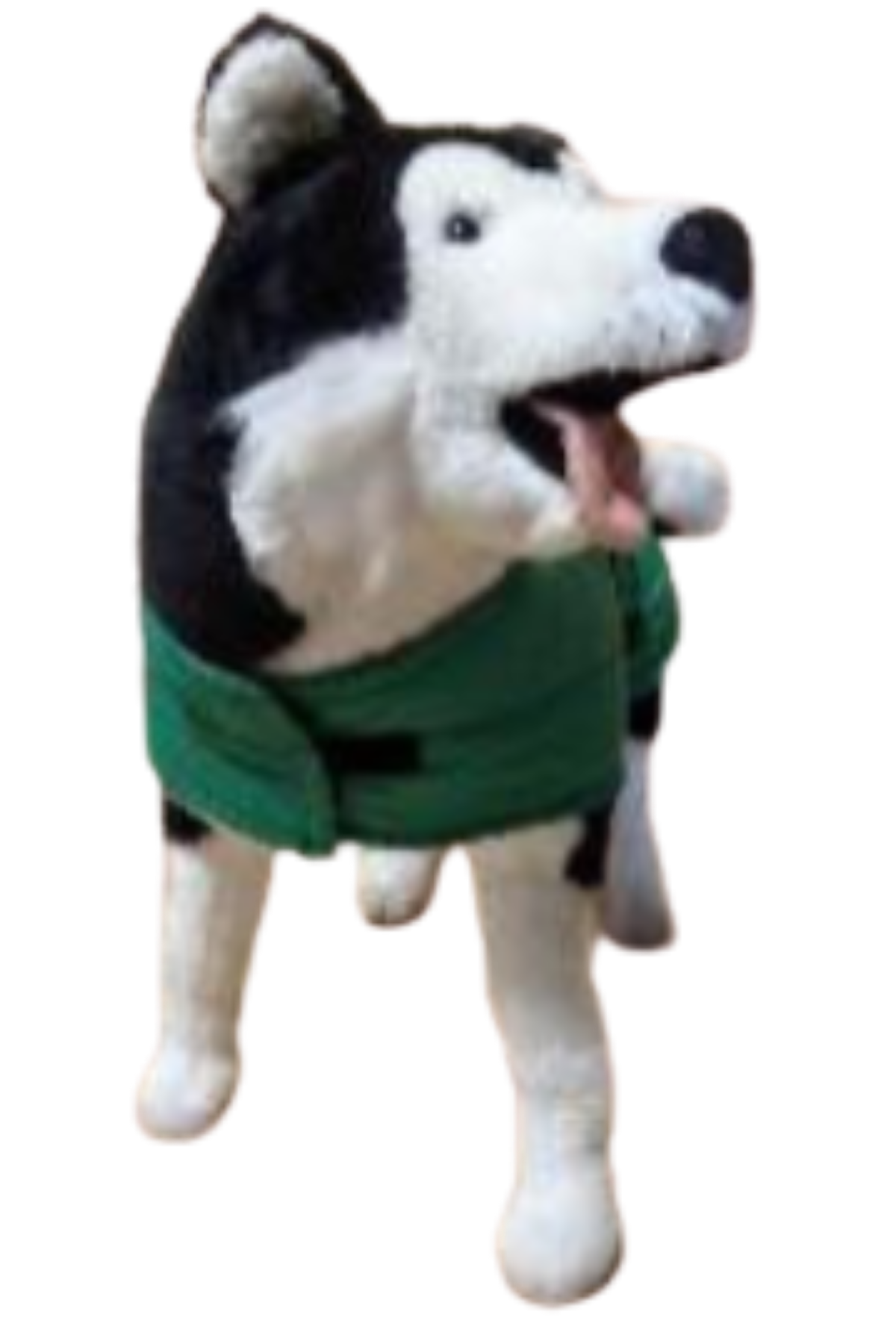 Dog coat - lined with alpaca