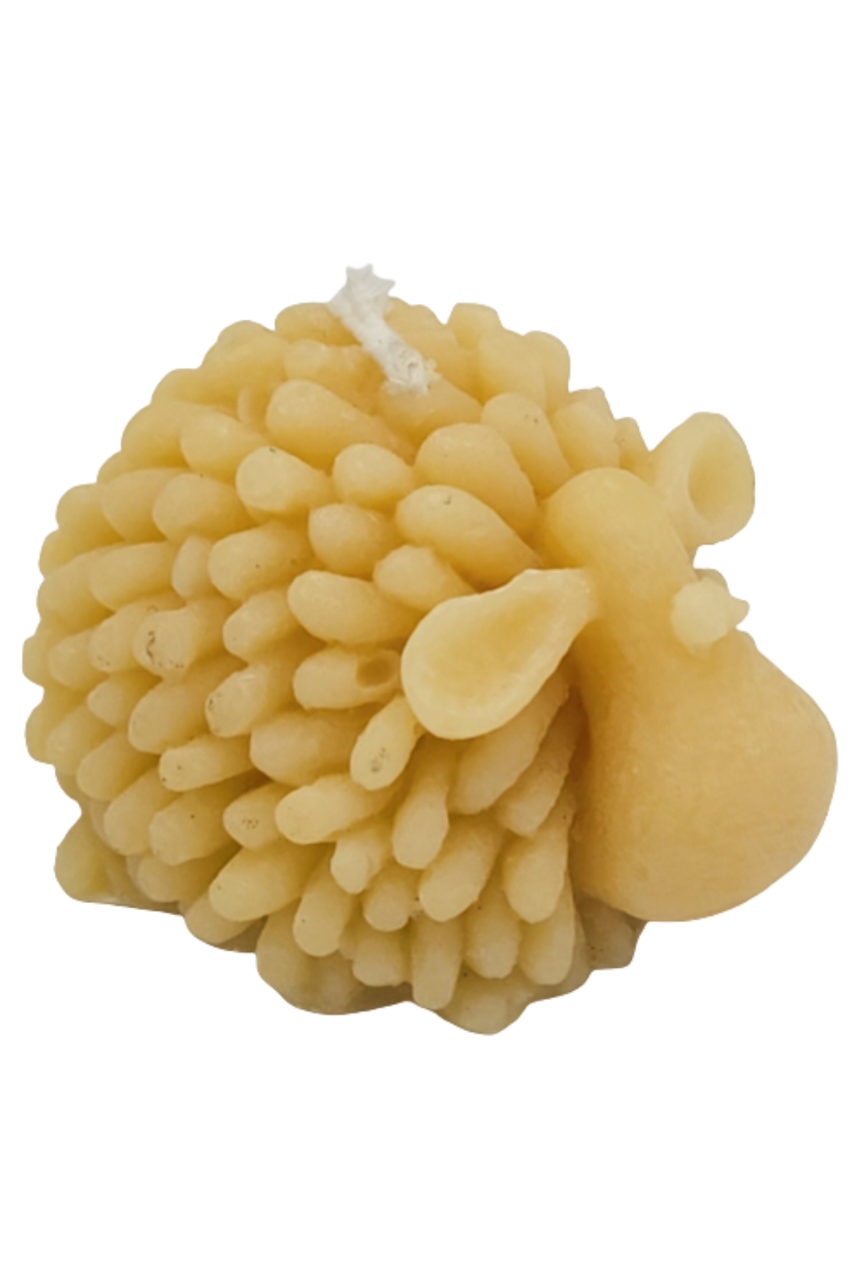 100% Beeswax Candles - Fun Shapes