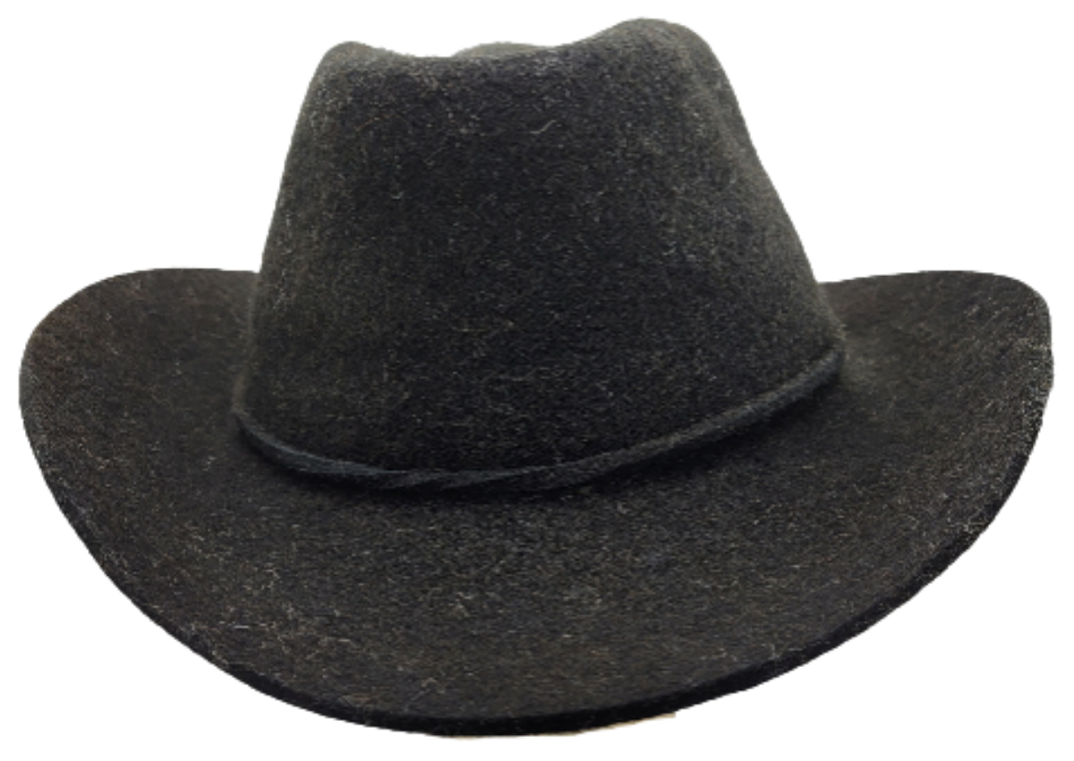 Felted Cowboy hats