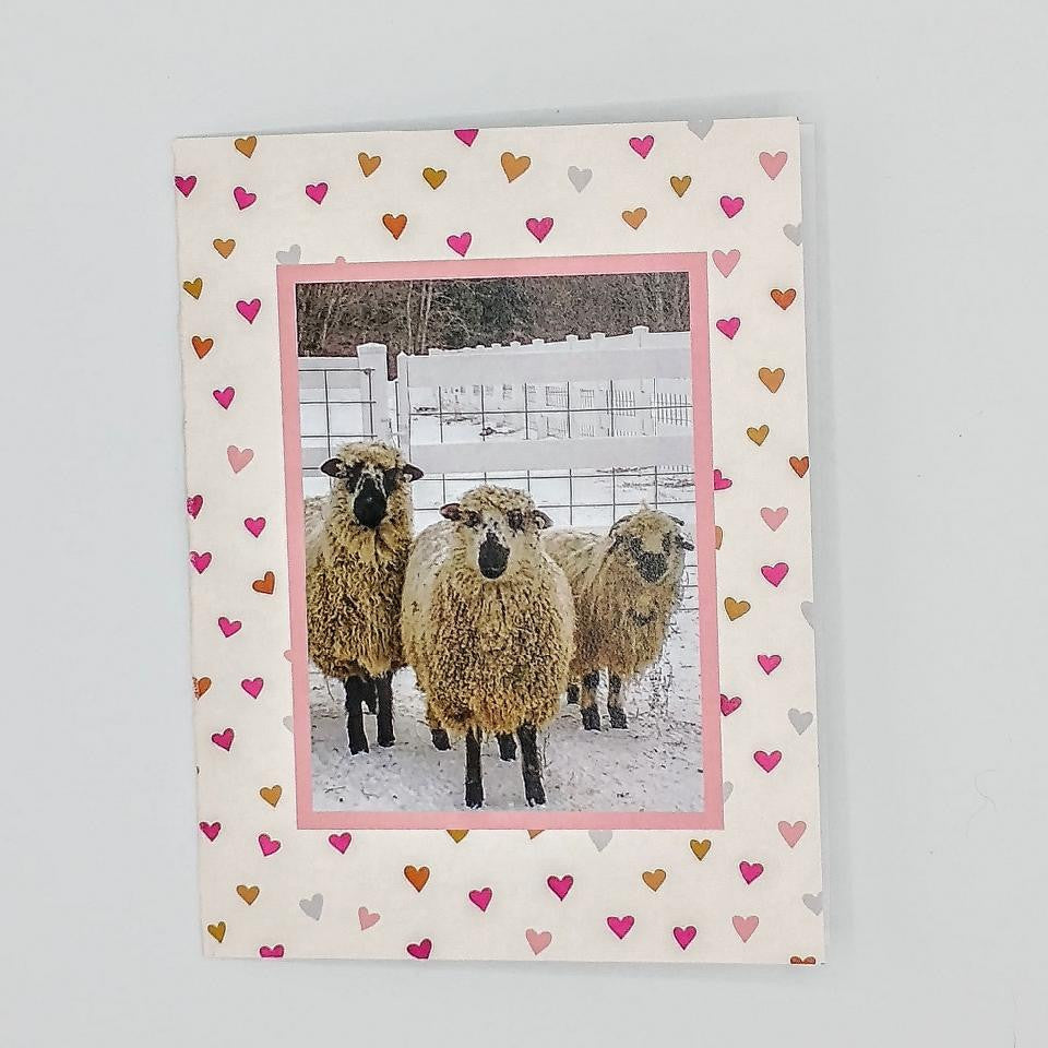I Love Ewe greeting card