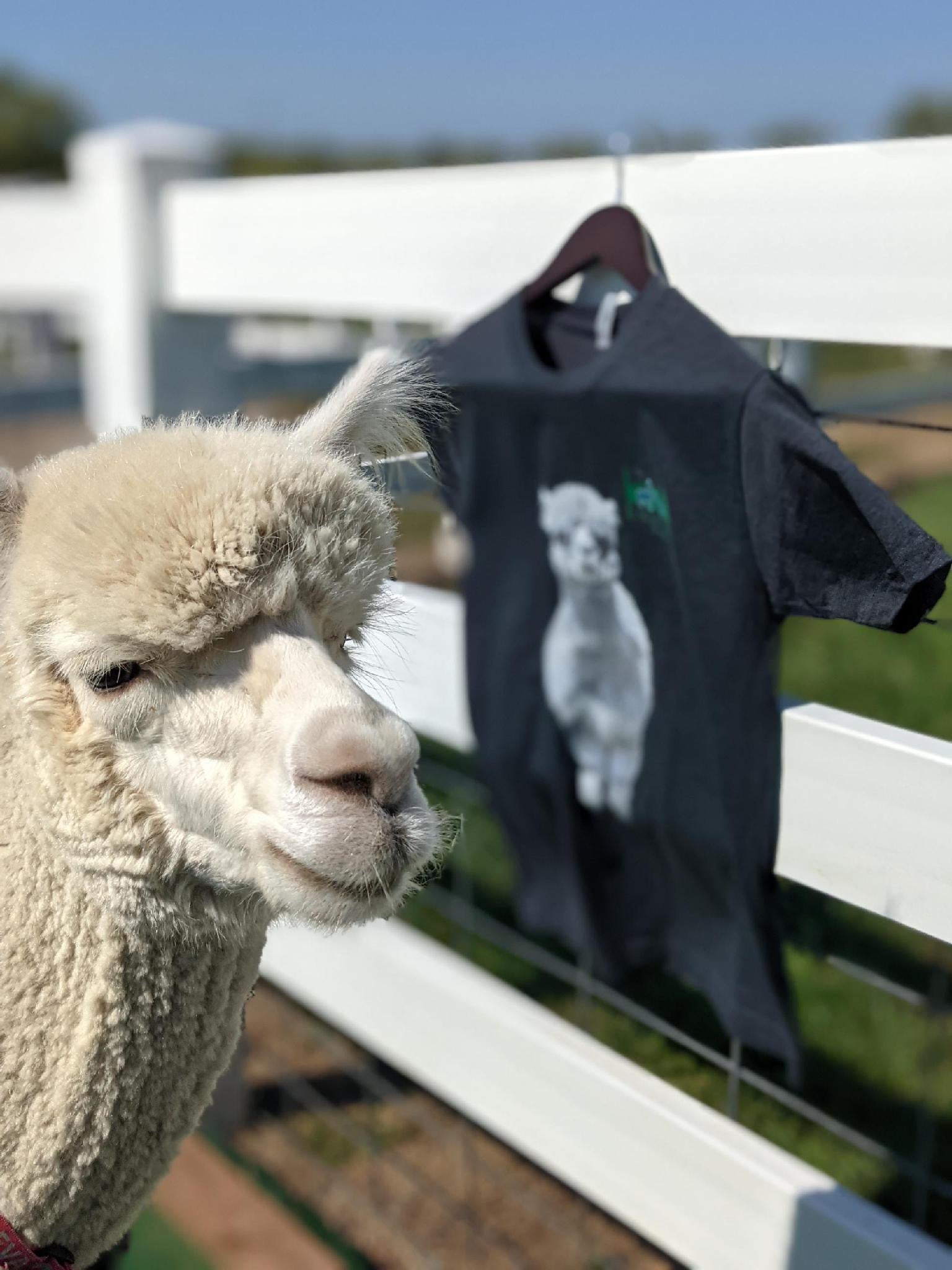 Eva T-shirt